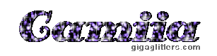 Camiia logo