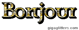 Bonjour, GIF paillette 6