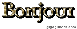 Bonjour, GIF paillette 11